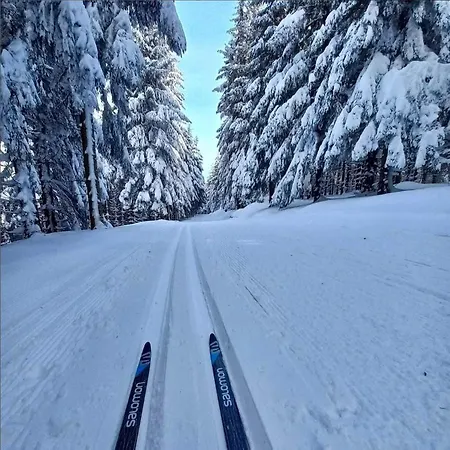 útulný S Možností Wellness 2